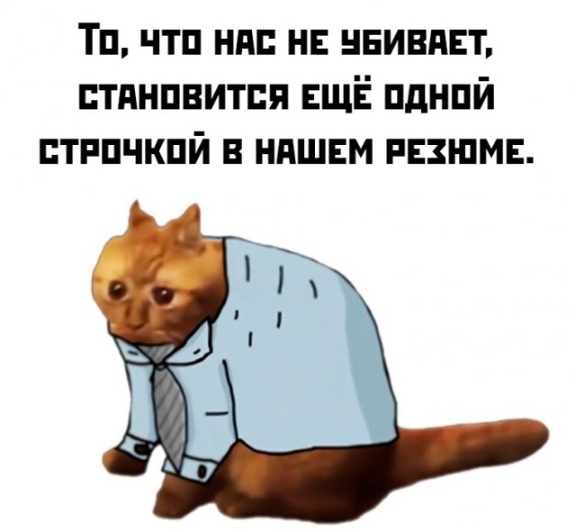 Приколы и картинки 22.05.2025