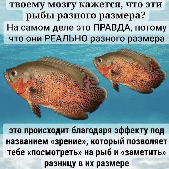 Смешные мемы