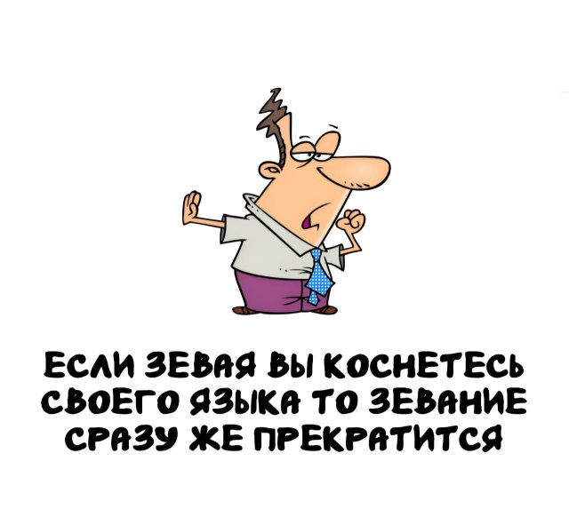 Интересные факты на все случаи жизни (15 фото)