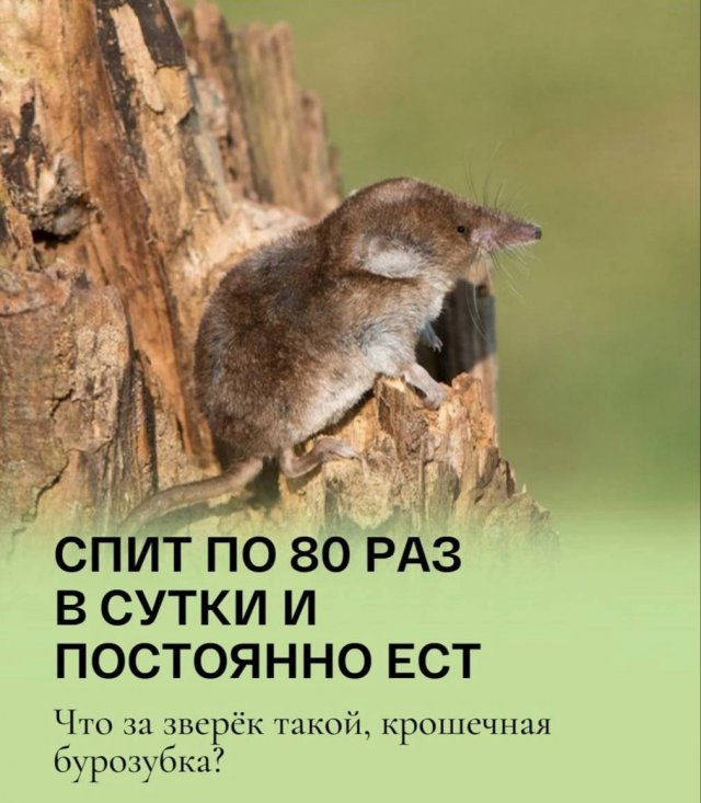 Приколы и картинки 15.05.2025