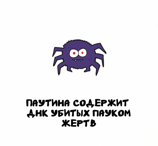 Интересные факты на все случаи жизни (15 фото)