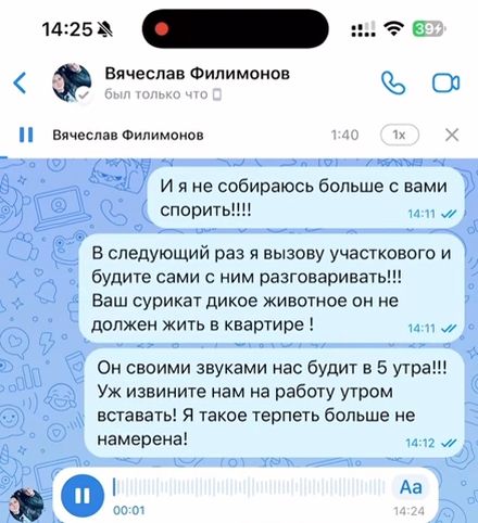 Сурикат в надежных руках