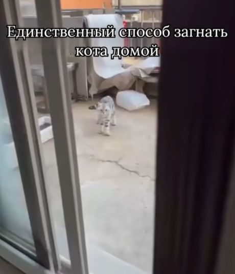Не просчитал⁠⁠