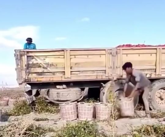 Профессионалы своего дела