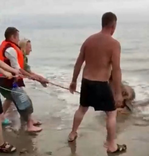 Настоящие герои не носят плащей!⁠⁠