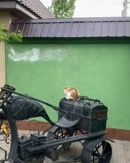 Судя по следам на стене, он уже давно так делает⁠⁠