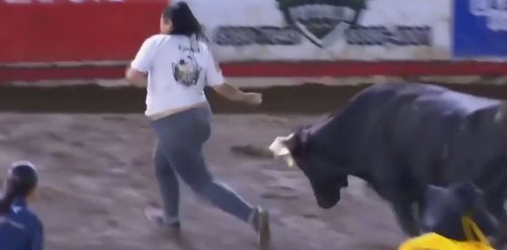 От быка и розовые трусы не спасли