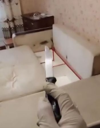 Хозяин дивана опасный чел