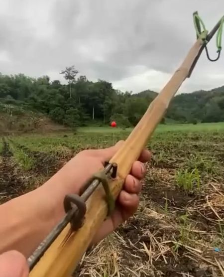 Самострел⁠⁠