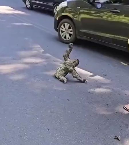 Ну ты чё лентяй, давай мы тебе поможем