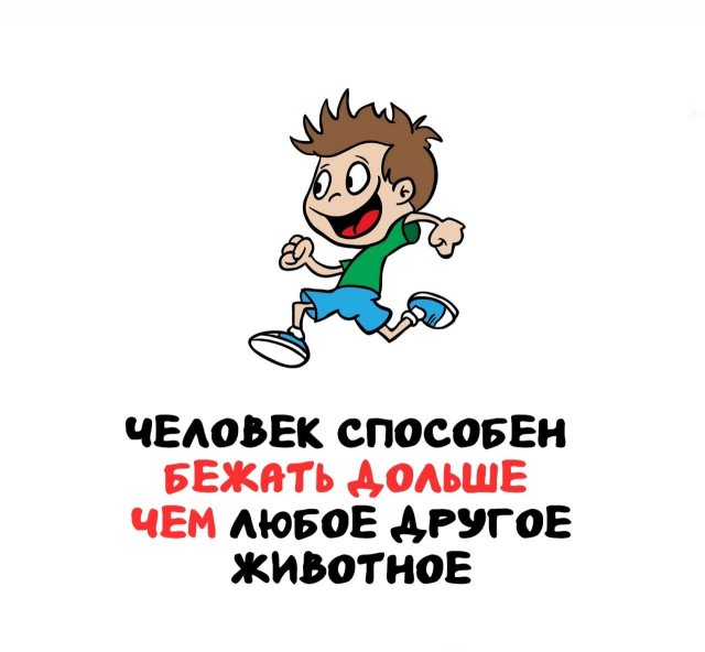 Интересные факты на все случаи жизни (15 фото)