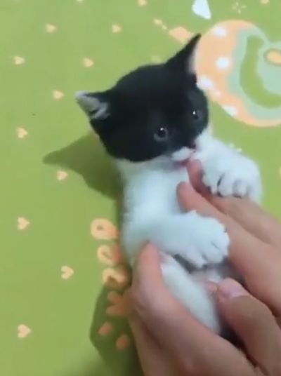 Я вам денежку принёс