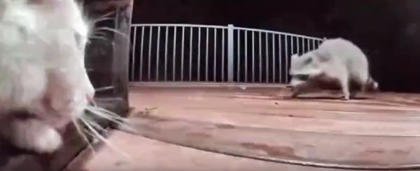 Правильно. А то ходят всякие, потом донышко в чашке видно