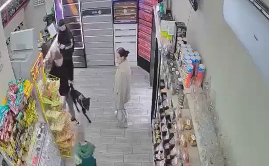 Собака напала на мальчика в магазине⁠⁠