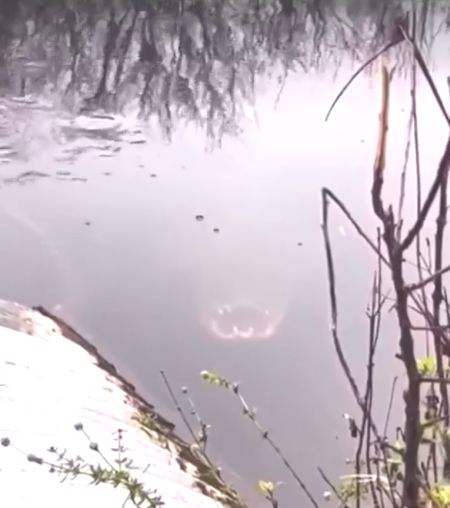 Заходите... вода отличная