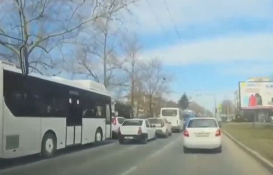 Девушка вернула мусор поросёнку, который выбросил его из окна авто прямо на дорогу⁠⁠