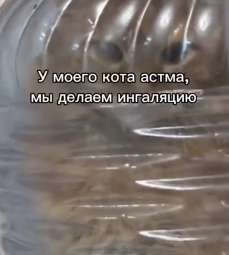 Угли поменяй⁠⁠
