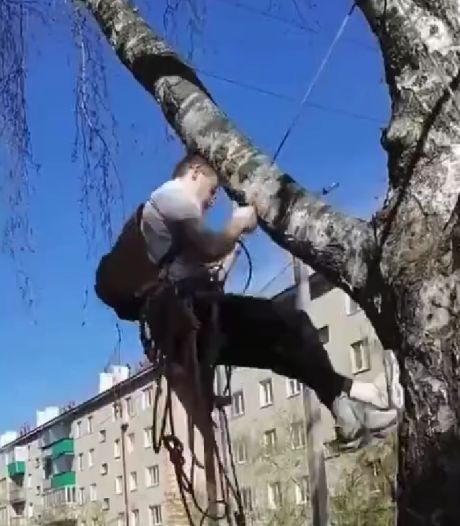 В Башкирии скалолаз снял с дерева кошку, просидевшую там 3 дня