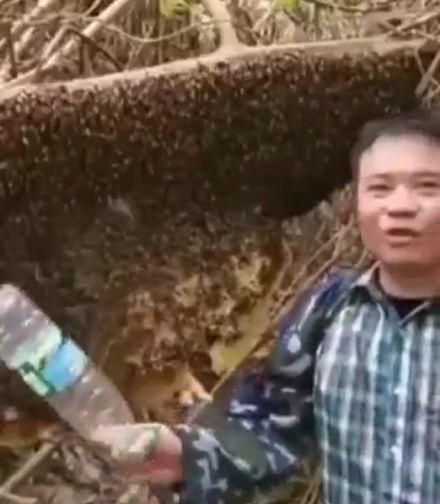 Номинант на Darwin Award