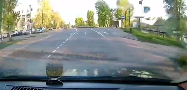В Петербурге нашли самого законопослушного ежа⁠⁠