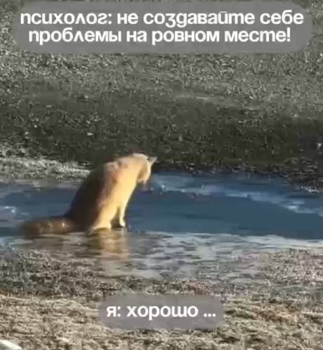 Проблемы на ровном месте