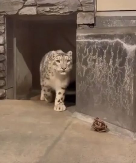 Правильный выбор