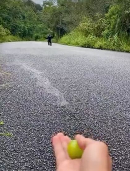 Виноградные умы мыслят одинаково