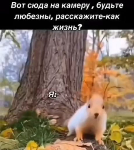 Как жизнь твоя?⁠⁠