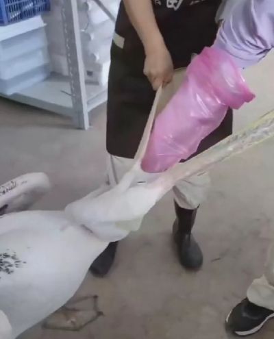 Обобрали⁠⁠