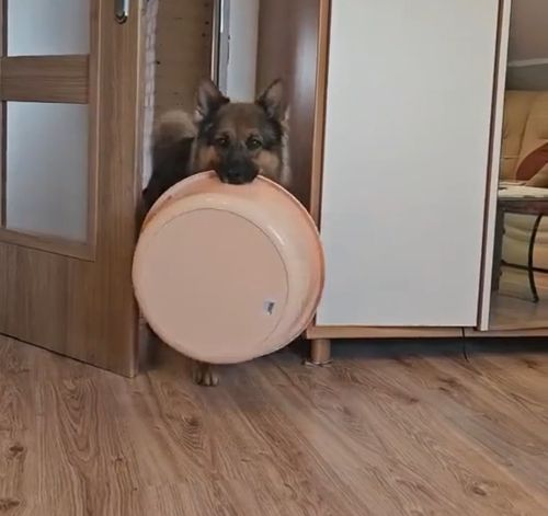 Немножко подрос⁠⁠