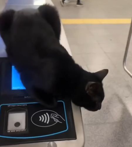 Однажды в метро Стамбула⁠⁠