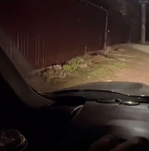 Она реально отвечает: "да" и улыбается