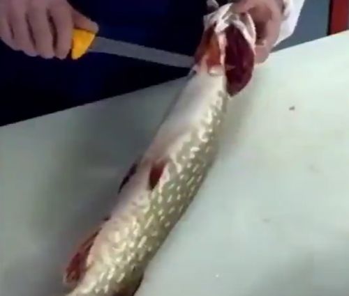 Разделывание щуки от профессионала
