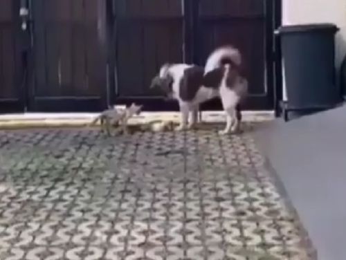 Ешь, тебе нужнее⁠⁠