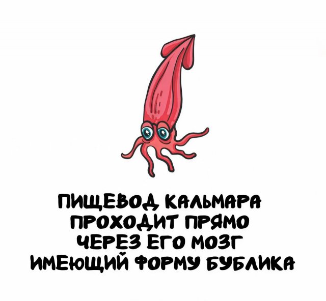 Интересные факты на все случаи жизни (15 фото)
