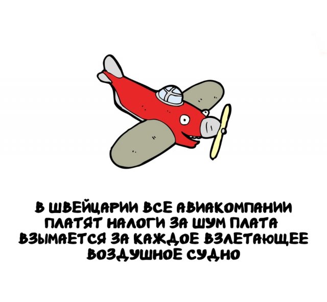 Интересные факты на все случаи жизни (15 фото)
