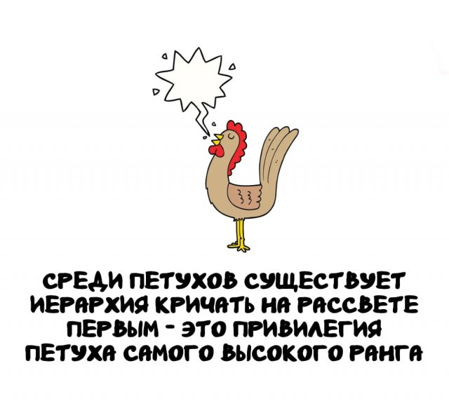 Интересные факты на все случаи жизни (15 фото)