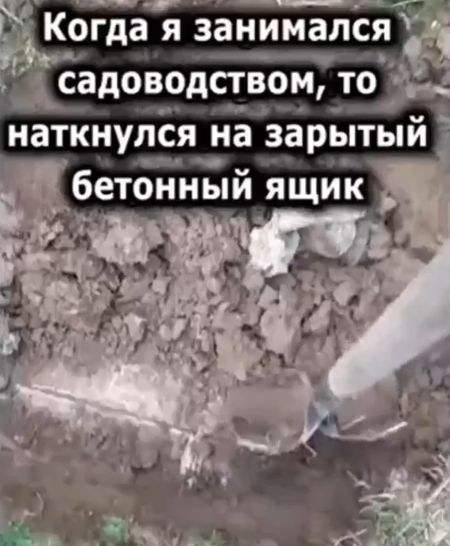 Современный Индиана Джонс⁠⁠