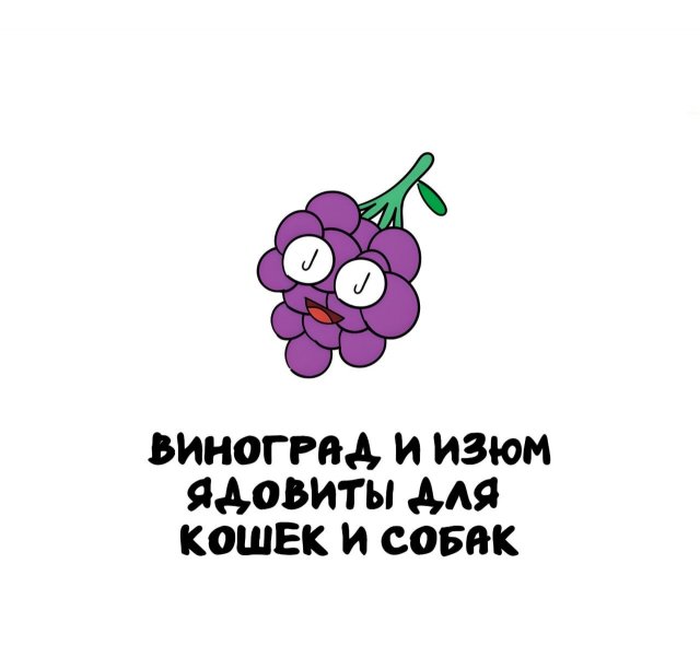 Интересные факты на все случаи жизни (15 фото)