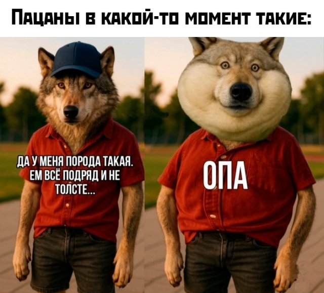 Приколы и картинки 30.06.2025