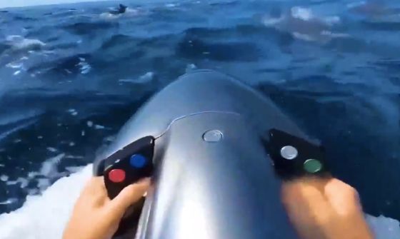 А как вы прячетесь в глубоком синем море?