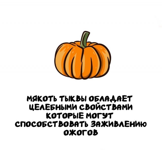 Интересные факты на все случаи жизни (15 фото)