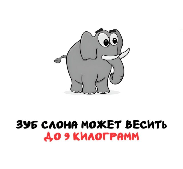 Интересные факты на все случаи жизни (15 фото)
