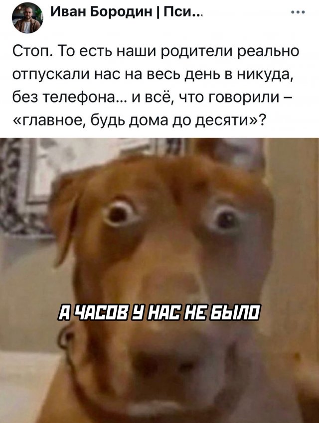 Приколы и картинки 26.06.2025