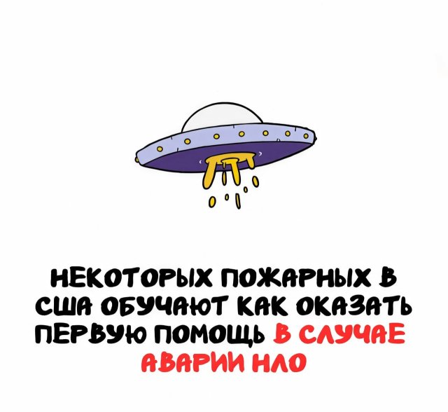 Интересные факты на все случаи жизни (15 фото)