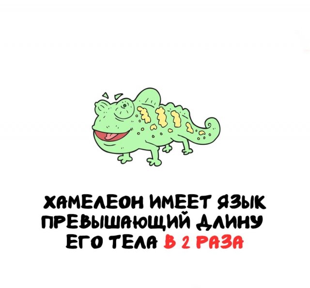 Интересные факты на все случаи жизни (15 фото)