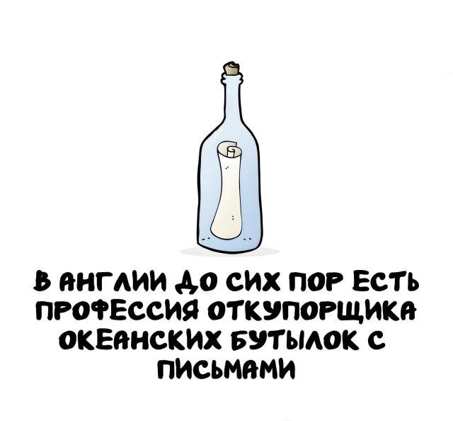 Интересные факты на все случаи жизни (15 фото)