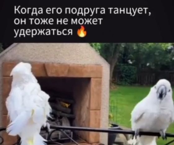 Отжёг⁠⁠