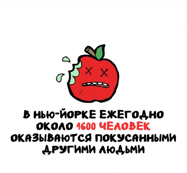 Интересные факты на все случаи жизни (15 фото)