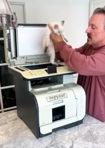 Кошачий принтер